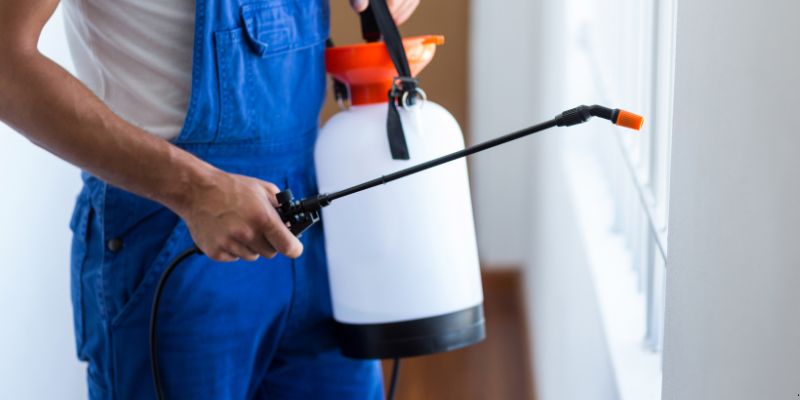 Como Fazer Dedetização em Casa em Manaus: 4 Dicas Simples Como fazer dedetização em casa em Manaus
