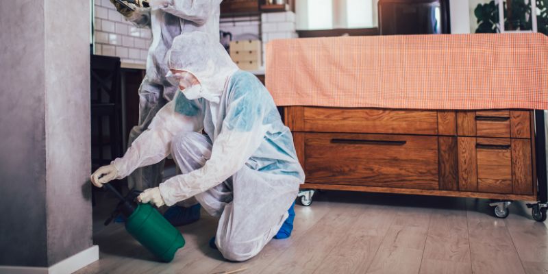 Dedetização em Apartamento Como Funciona em Manaus: Confira 4 Passos